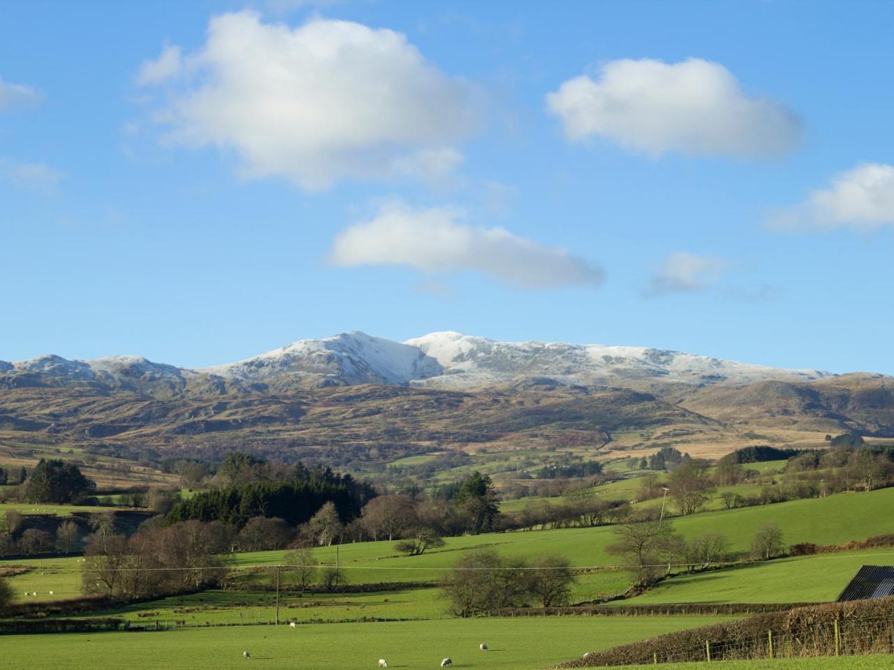 Cyffdy Cottage - Aran Llanycil Eksteriør billede